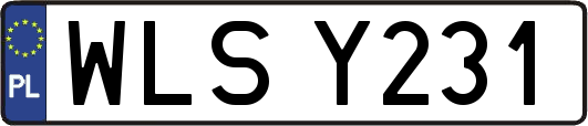 WLSY231