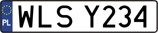 WLSY234