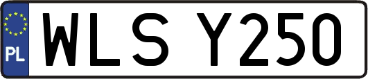 WLSY250