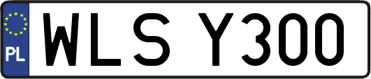 WLSY300