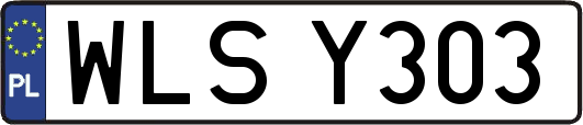WLSY303