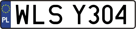 WLSY304