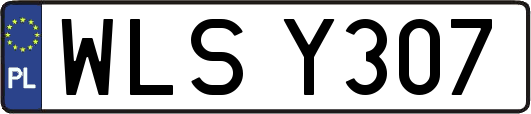 WLSY307
