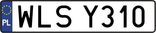 WLSY310