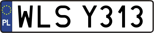 WLSY313