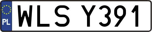 WLSY391