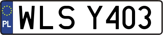 WLSY403