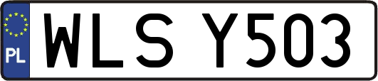 WLSY503