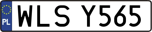 WLSY565
