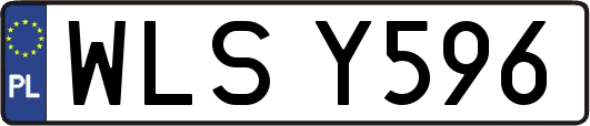 WLSY596
