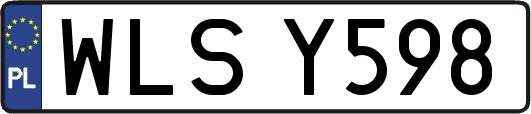 WLSY598