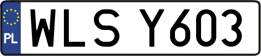WLSY603