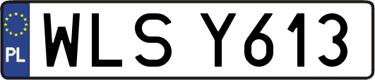 WLSY613