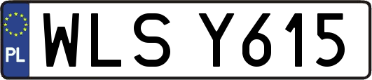 WLSY615