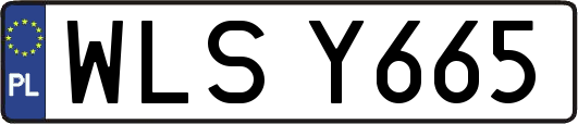 WLSY665