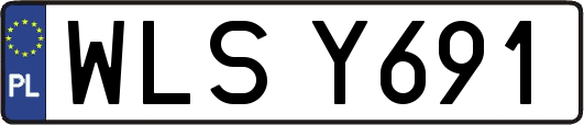 WLSY691