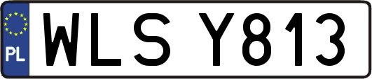 WLSY813