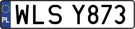 WLSY873