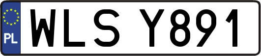 WLSY891