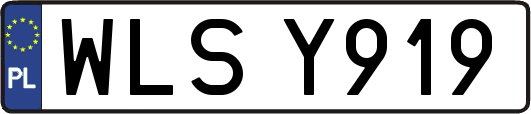 WLSY919