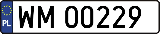 WM00229