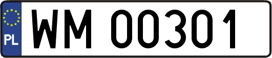 WM00301