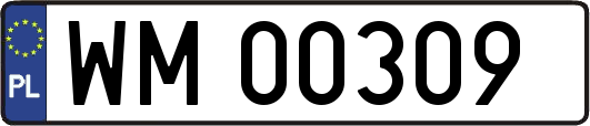 WM00309