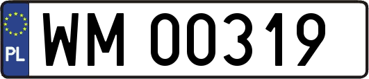 WM00319