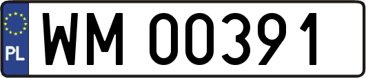 WM00391