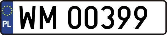 WM00399