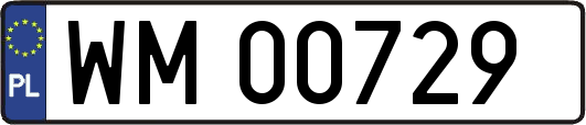 WM00729