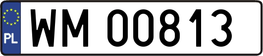 WM00813