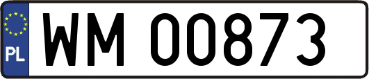 WM00873