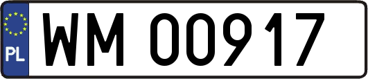 WM00917