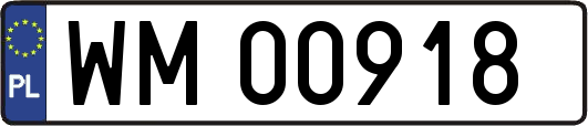 WM00918