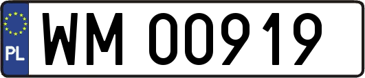 WM00919