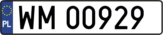 WM00929
