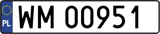 WM00951