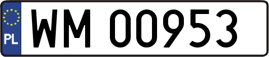 WM00953