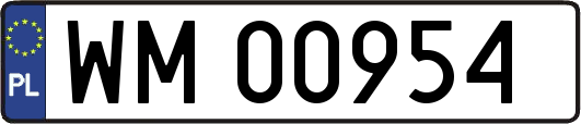 WM00954