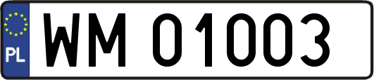 WM01003