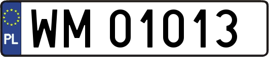 WM01013