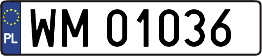 WM01036