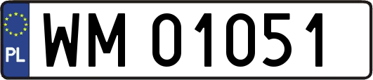 WM01051
