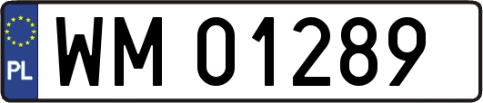 WM01289