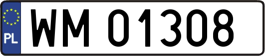 WM01308