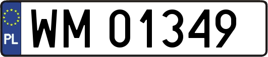 WM01349