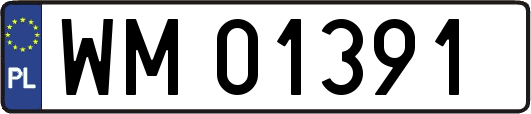 WM01391
