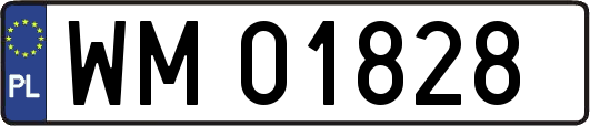WM01828
