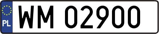 WM02900
